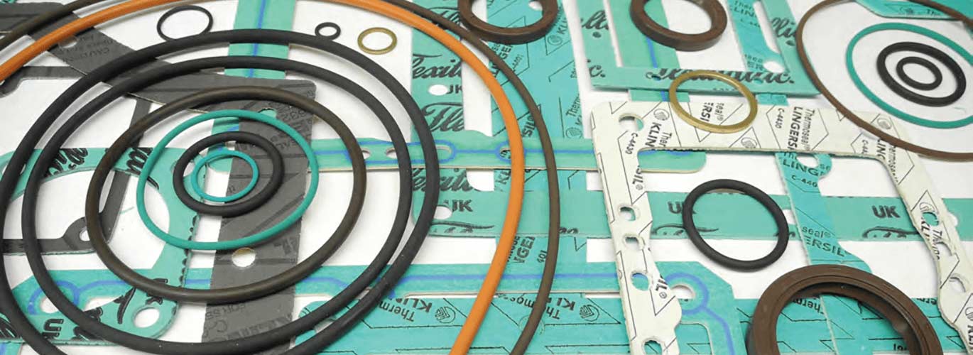 Busch Gasket Kits